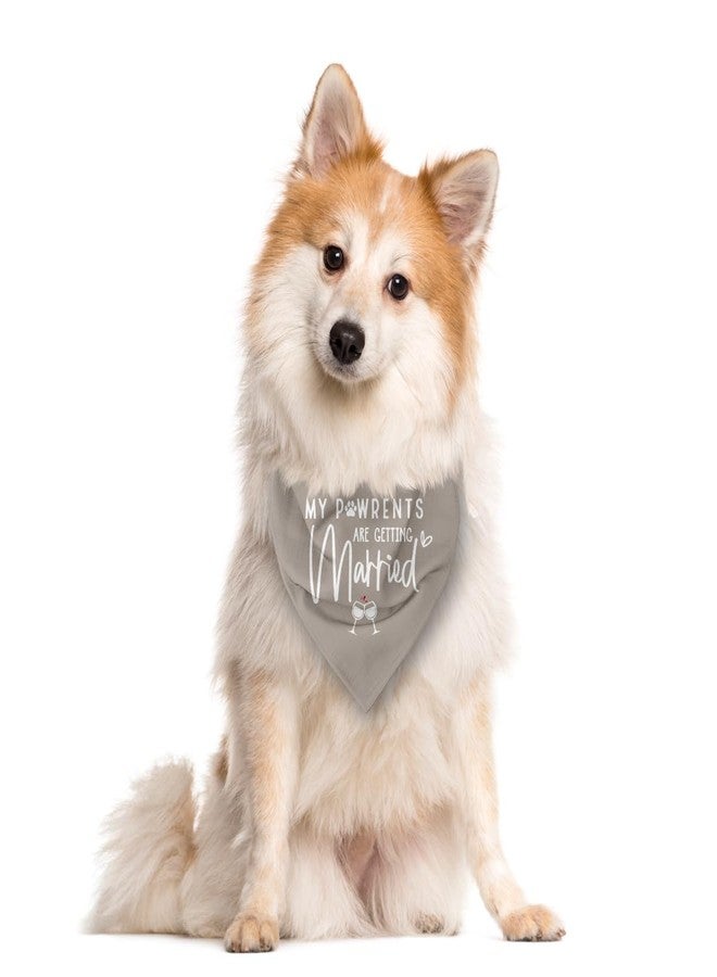 ZPPRJF My Parents are Getting Married Dog Bandana, Dog Wedding Bandanas, Gray Dogs Bandana, Pet Engagement Triangle Scarf, Gift for Dogs Lover - Image 2
